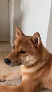1750816725192